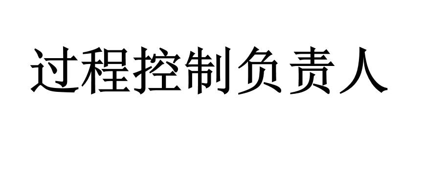 過程控制負責人